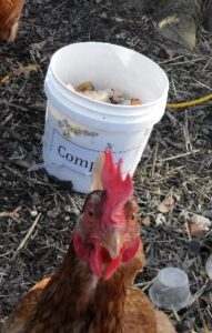 To Compost Or Not To Compost, That Is The Question! Image